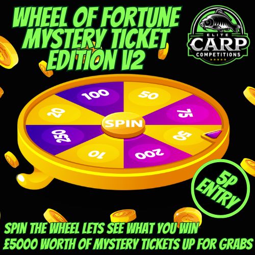 WHEEL OF FORTUNE MYSTERY TICKET EDITION V2