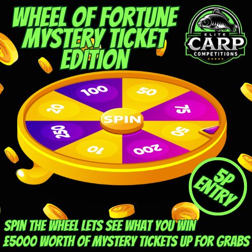 WHEEL OF FORTUNE MYSTERY TICKET EDITION