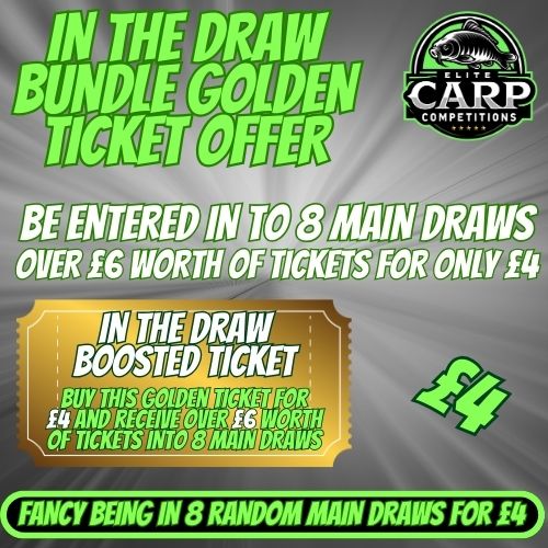 IN THE DRAW BUNDLE GOLDEN TICKET OFFER #21