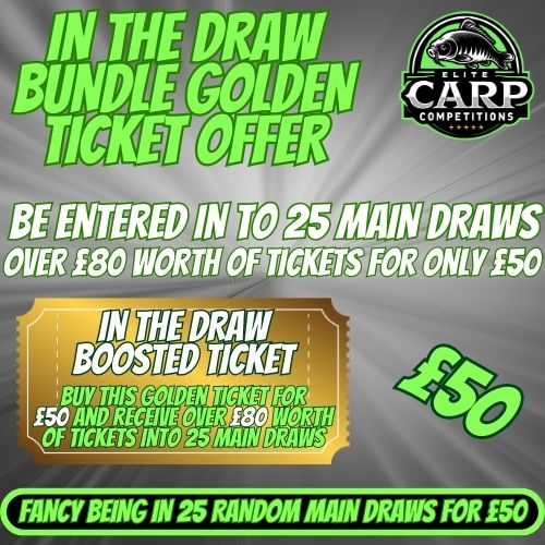 IN THE DRAW BUNDLE GOLDEN TICKET OFFER #15