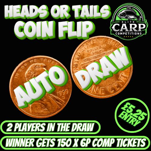 HEADS OR TAILS COIN FLIP AUTO DRAW #10