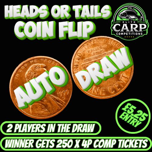 HEADS OR TAILS COIN FLIP AUTO DRAW #8