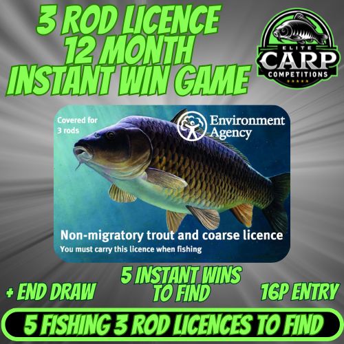 3 ROD LICENCE 12 MONTH INSTANT WIN GAME + END DRAW