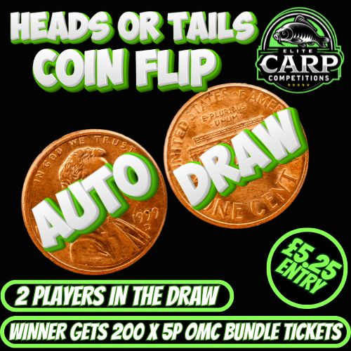 HEADS OR TAILS COIN FLIP AUTO DRAW #9