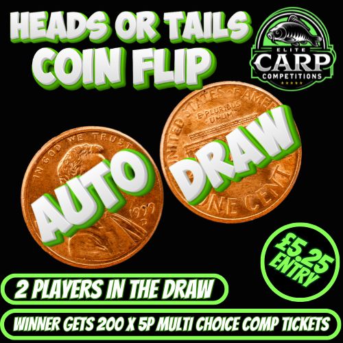 HEADS OR TAIL COIN FLIP AUTO DRAW #667