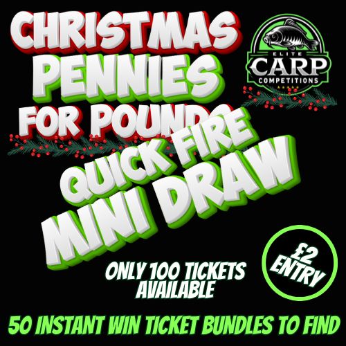 QUICK FIRE INSTANT WIN CHRISTMAS PENNIES FOR POUNDS MINI DRAW #005