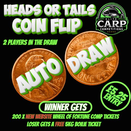 HEADS OR TAILS COIN FLIP AUTO DRAW #C1