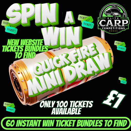 QUICK FIRE SPIN A WIN INSTANT WIN TICKET GAME